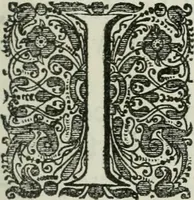 An illustration from Gedenkwaerdig bedryf der Nederlandsche Oost-Indische maetschappye, op de kuste en in het keizerrijk van Taising of Sina: behelzende het tweede gezandschap aen den onder-koning Singlamong en veldheer Taising Lipoui; door Jan van Kampen en Konstantyn Nobel. Vervolgt met een verhael van het voorgevallen des jaers zestien hondert drie ein vier en zestig, op de kust van Sina, en ontrent d'eilanden Tayowan, Formosa, Ay en Quemuy, onder 't gezag van Balthasar Bort: en het derde gezandschap aen Konchy, Tartarsche keizer van Sina en Oost-Tartarye: onder beleit van Zijne Ed. Pieter van Hoorn. Beneffens een beschryving van geheel Sina. Verciert doorgaens met verscheide kopere platen (1670)