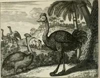 An illustration from Gedenkwaerdig bedryf der Nederlandsche Oost-Indische maetschappye, op de kuste en in het keizerrijk van Taising of Sina: behelzende het tweede gezandschap aen den onder-koning Singlamong en veldheer Taising Lipoui; door Jan van Kampen en Konstantyn Nobel. Vervolgt met een verhael van het voorgevallen des jaers zestien hondert drie ein vier en zestig, op de kust van Sina, en ontrent d'eilanden Tayowan, Formosa, Ay en Quemuy, onder 't gezag van Balthasar Bort: en het derde gezandschap aen Konchy, Tartarsche keizer van Sina en Oost-Tartarye: onder beleit van Zijne Ed. Pieter van Hoorn. Beneffens een beschryving van geheel Sina. Verciert doorgaens met verscheide kopere platen (1670)