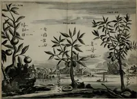 An illustration from Gedenkwaerdig bedryf der Nederlandsche Oost-Indische maetschappye, op de kuste en in het keizerrijk van Taising of Sina: behelzende het tweede gezandschap aen den onder-koning Singlamong en veldheer Taising Lipoui; door Jan van Kampen en Konstantyn Nobel. Vervolgt met een verhael van het voorgevallen des jaers zestien hondert drie ein vier en zestig, op de kust van Sina, en ontrent d'eilanden Tayowan, Formosa, Ay en Quemuy, onder 't gezag van Balthasar Bort: en het derde gezandschap aen Konchy, Tartarsche keizer van Sina en Oost-Tartarye: onder beleit van Zijne Ed. Pieter van Hoorn. Beneffens een beschryving van geheel Sina. Verciert doorgaens met verscheide kopere platen (1670)