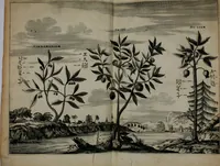 An illustration from Gedenkwaerdig bedryf der Nederlandsche Oost-Indische maetschappye, op de kuste en in het keizerrijk van Taising of Sina: behelzende het tweede gezandschap aen den onder-koning Singlamong en veldheer Taising Lipoui; door Jan van Kampen en Konstantyn Nobel. Vervolgt met een verhael van het voorgevallen des jaers zestien hondert drie ein vier en zestig, op de kust van Sina, en ontrent d'eilanden Tayowan, Formosa, Ay en Quemuy, onder 't gezag van Balthasar Bort: en het derde gezandschap aen Konchy, Tartarsche keizer van Sina en Oost-Tartarye: onder beleit van Zijne Ed. Pieter van Hoorn. Beneffens een beschryving van geheel Sina. Verciert doorgaens met verscheide kopere platen (1670)