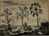 An illustration from Gedenkwaerdig bedryf der Nederlandsche Oost-Indische maetschappye, op de kuste en in het keizerrijk van Taising of Sina: behelzende het tweede gezandschap aen den onder-koning Singlamong en veldheer Taising Lipoui; door Jan van Kampen en Konstantyn Nobel. Vervolgt met een verhael van het voorgevallen des jaers zestien hondert drie ein vier en zestig, op de kust van Sina, en ontrent d'eilanden Tayowan, Formosa, Ay en Quemuy, onder 't gezag van Balthasar Bort: en het derde gezandschap aen Konchy, Tartarsche keizer van Sina en Oost-Tartarye: onder beleit van Zijne Ed. Pieter van Hoorn. Beneffens een beschryving van geheel Sina. Verciert doorgaens met verscheide kopere platen (1670)