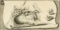 An illustration from Geheime Scheidung der Metallen und derselben Nutzbarkeit (1774)