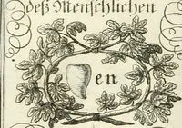 An illustration from Geistliche Herzens-Einbildungen inn zweihundert und fünfzig biblischen Figur-Sprüchen angedeutet : allen andächtige[n] Herze[n], u. der Tugent-Liebenden Jugent, zu einer Gottseligen Belustigung, auch denen Einfältigen, zu einer anmuthigen Vorstellung, unschweren Ergreiffung, und nuzlichen Fassung, auss allen canonischen Büchern der H. Schrifft ... (1688)
