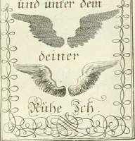 An illustration from Geistliche Herzens-Einbildungen inn zweihundert und fünfzig biblischen Figur-Sprüchen angedeutet : allen andächtige[n] Herze[n], u. der Tugent-Liebenden Jugent, zu einer Gottseligen Belustigung, auch denen Einfältigen, zu einer anmuthigen Vorstellung, unschweren Ergreiffung, und nuzlichen Fassung, auss allen canonischen Büchern der H. Schrifft ... (1688)
