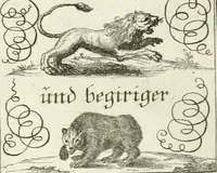 Picture 112 of 390 from Geistliche Herzens-Einbildungen inn zweihundert und fünfzig biblischen Figur-Sprüchen angedeutet : allen andächtige[n] Herze[n], u. der Tugent-Liebenden Jugent, zu einer Gottseligen Belustigung, auch denen Einfältigen, zu einer anmuthigen Vorstellung, unschweren Ergreiffung, und nuzlichen Fassung, auss allen canonischen Büchern der H. Schrifft ... (1688), leaf 112