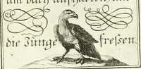 An illustration from Geistliche Herzens-Einbildungen inn zweihundert und fünfzig biblischen Figur-Sprüchen angedeutet : allen andächtige[n] Herze[n], u. der Tugent-Liebenden Jugent, zu einer Gottseligen Belustigung, auch denen Einfältigen, zu einer anmuthigen Vorstellung, unschweren Ergreiffung, und nuzlichen Fassung, auss allen canonischen Büchern der H. Schrifft ... (1688)