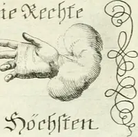 Picture 137 of 390 from Geistliche Herzens-Einbildungen inn zweihundert und fünfzig biblischen Figur-Sprüchen angedeutet : allen andächtige[n] Herze[n], u. der Tugent-Liebenden Jugent, zu einer Gottseligen Belustigung, auch denen Einfältigen, zu einer anmuthigen Vorstellung, unschweren Ergreiffung, und nuzlichen Fassung, auss allen canonischen Büchern der H. Schrifft ... (1688), leaf 128