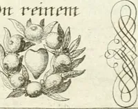 An illustration from Geistliche Herzens-Einbildungen inn zweihundert und fünfzig biblischen Figur-Sprüchen angedeutet : allen andächtige[n] Herze[n], u. der Tugent-Liebenden Jugent, zu einer Gottseligen Belustigung, auch denen Einfältigen, zu einer anmuthigen Vorstellung, unschweren Ergreiffung, und nuzlichen Fassung, auss allen canonischen Büchern der H. Schrifft ... (1688)