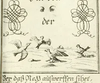 An illustration from Geistliche Herzens-Einbildungen inn zweihundert und fünfzig biblischen Figur-Sprüchen angedeutet : allen andächtige[n] Herze[n], u. der Tugent-Liebenden Jugent, zu einer Gottseligen Belustigung, auch denen Einfältigen, zu einer anmuthigen Vorstellung, unschweren Ergreiffung, und nuzlichen Fassung, auss allen canonischen Büchern der H. Schrifft ... (1688)