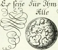 Picture 292 of 390 from Geistliche Herzens-Einbildungen inn zweihundert und fünfzig biblischen Figur-Sprüchen angedeutet : allen andächtige[n] Herze[n], u. der Tugent-Liebenden Jugent, zu einer Gottseligen Belustigung, auch denen Einfältigen, zu einer anmuthigen Vorstellung, unschweren Ergreiffung, und nuzlichen Fassung, auss allen canonischen Büchern der H. Schrifft ... (1688), leaf 290