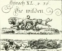 Picture 298 of 390 from Geistliche Herzens-Einbildungen inn zweihundert und fünfzig biblischen Figur-Sprüchen angedeutet : allen andächtige[n] Herze[n], u. der Tugent-Liebenden Jugent, zu einer Gottseligen Belustigung, auch denen Einfältigen, zu einer anmuthigen Vorstellung, unschweren Ergreiffung, und nuzlichen Fassung, auss allen canonischen Büchern der H. Schrifft ... (1688), leaf 294