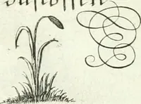 Picture 318 of 390 from Geistliche Herzens-Einbildungen inn zweihundert und fünfzig biblischen Figur-Sprüchen angedeutet : allen andächtige[n] Herze[n], u. der Tugent-Liebenden Jugent, zu einer Gottseligen Belustigung, auch denen Einfältigen, zu einer anmuthigen Vorstellung, unschweren Ergreiffung, und nuzlichen Fassung, auss allen canonischen Büchern der H. Schrifft ... (1688), leaf 316