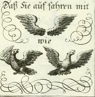 Picture 333 of 390 from Geistliche Herzens-Einbildungen inn zweihundert und fünfzig biblischen Figur-Sprüchen angedeutet : allen andächtige[n] Herze[n], u. der Tugent-Liebenden Jugent, zu einer Gottseligen Belustigung, auch denen Einfältigen, zu einer anmuthigen Vorstellung, unschweren Ergreiffung, und nuzlichen Fassung, auss allen canonischen Büchern der H. Schrifft ... (1688), leaf 330