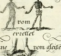 Picture 335 of 390 from Geistliche Herzens-Einbildungen inn zweihundert und fünfzig biblischen Figur-Sprüchen angedeutet : allen andächtige[n] Herze[n], u. der Tugent-Liebenden Jugent, zu einer Gottseligen Belustigung, auch denen Einfältigen, zu einer anmuthigen Vorstellung, unschweren Ergreiffung, und nuzlichen Fassung, auss allen canonischen Büchern der H. Schrifft ... (1688), leaf 334