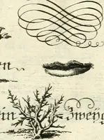Picture 381 of 390 from Geistliche Herzens-Einbildungen inn zweihundert und fünfzig biblischen Figur-Sprüchen angedeutet : allen andächtige[n] Herze[n], u. der Tugent-Liebenden Jugent, zu einer Gottseligen Belustigung, auch denen Einfältigen, zu einer anmuthigen Vorstellung, unschweren Ergreiffung, und nuzlichen Fassung, auss allen canonischen Büchern der H. Schrifft ... (1688), leaf 378