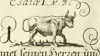 An illustration from Geistliche Herzens-Einbildungen inn zweihundert und fünfzig biblischen Figur-Sprüchen angedeutet : allen andächtige[n] Herze[n], u. der Tugent-Liebenden Jugent, zu einer Gottseligen Belustigung, auch denen Einfältigen, zu einer anmuthigen Vorstellung, unschweren Ergreiffung, und nuzlichen Fassung, auss allen canonischen Büchern der H. Schrifft ... (1688)