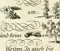 Picture 384 of 390 from Geistliche Herzens-Einbildungen inn zweihundert und fünfzig biblischen Figur-Sprüchen angedeutet : allen andächtige[n] Herze[n], u. der Tugent-Liebenden Jugent, zu einer Gottseligen Belustigung, auch denen Einfältigen, zu einer anmuthigen Vorstellung, unschweren Ergreiffung, und nuzlichen Fassung, auss allen canonischen Büchern der H. Schrifft ... (1688), leaf 382