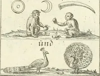 Picture 35 of 390 from Geistliche Herzens-Einbildungen inn zweihundert und fünfzig biblischen Figur-Sprüchen angedeutet : allen andächtige[n] Herze[n], u. der Tugent-Liebenden Jugent, zu einer Gottseligen Belustigung, auch denen Einfältigen, zu einer anmuthigen Vorstellung, unschweren Ergreiffung, und nuzlichen Fassung, auss allen canonischen Büchern der H. Schrifft ... (1688), leaf 50