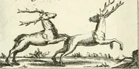 An illustration from Geistliche Herzens-Einbildungen inn zweihundert und fünfzig biblischen Figur-Sprüchen angedeutet : allen andächtige[n] Herze[n], u. der Tugent-Liebenden Jugent, zu einer Gottseligen Belustigung, auch denen Einfältigen, zu einer anmuthigen Vorstellung, unschweren Ergreiffung, und nuzlichen Fassung, auss allen canonischen Büchern der H. Schrifft ... (1688)