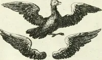 Picture 65 of 390 from Geistliche Herzens-Einbildungen inn zweihundert und fünfzig biblischen Figur-Sprüchen angedeutet : allen andächtige[n] Herze[n], u. der Tugent-Liebenden Jugent, zu einer Gottseligen Belustigung, auch denen Einfältigen, zu einer anmuthigen Vorstellung, unschweren Ergreiffung, und nuzlichen Fassung, auss allen canonischen Büchern der H. Schrifft ... (1688), leaf 74