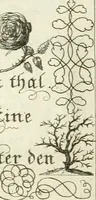 Picture 75 of 390 from Geistliche Herzens-Einbildungen inn zweihundert und fünfzig biblischen Figur-Sprüchen angedeutet : allen andächtige[n] Herze[n], u. der Tugent-Liebenden Jugent, zu einer Gottseligen Belustigung, auch denen Einfältigen, zu einer anmuthigen Vorstellung, unschweren Ergreiffung, und nuzlichen Fassung, auss allen canonischen Büchern der H. Schrifft ... (1688), leaf 84