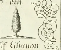 Picture 79 of 390 from Geistliche Herzens-Einbildungen inn zweihundert und fünfzig biblischen Figur-Sprüchen angedeutet : allen andächtige[n] Herze[n], u. der Tugent-Liebenden Jugent, zu einer Gottseligen Belustigung, auch denen Einfältigen, zu einer anmuthigen Vorstellung, unschweren Ergreiffung, und nuzlichen Fassung, auss allen canonischen Büchern der H. Schrifft ... (1688), leaf 86