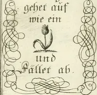 Picture 80 of 390 from Geistliche Herzens-Einbildungen inn zweihundert und fünfzig biblischen Figur-Sprüchen angedeutet : allen andächtige[n] Herze[n], u. der Tugent-Liebenden Jugent, zu einer Gottseligen Belustigung, auch denen Einfältigen, zu einer anmuthigen Vorstellung, unschweren Ergreiffung, und nuzlichen Fassung, auss allen canonischen Büchern der H. Schrifft ... (1688), leaf 88