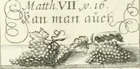 Picture 92 of 390 from Geistliche Herzens-Einbildungen inn zweihundert und fünfzig biblischen Figur-Sprüchen angedeutet : allen andächtige[n] Herze[n], u. der Tugent-Liebenden Jugent, zu einer Gottseligen Belustigung, auch denen Einfältigen, zu einer anmuthigen Vorstellung, unschweren Ergreiffung, und nuzlichen Fassung, auss allen canonischen Büchern der H. Schrifft ... (1688), leaf 98