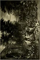 An illustration from Katalog der Gemälde-Sammlung der Kgl. Älteren Pinakothek in München (1904)