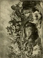 An illustration from Katalog der Gemälde-Sammlung der Kgl. Älteren Pinakothek in München (1904)