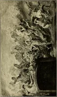 An illustration from Katalog der Gemälde-Sammlung der Kgl. Älteren Pinakothek in München (1904)