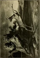 An illustration from Katalog der Gemälde-Sammlung der Kgl. Älteren Pinakothek in München (1904)
