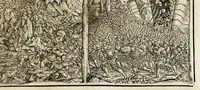 An illustration from Gemeiner loblicher Eydgnoschafft Stetten, Landen vnd Völckeren Chronick wirdiger Thaaten Beschreybung : hieriñ wirt auch die Gelegenheit der gantzen Europe : item ein kurtzuer griffne Chronica Germanie oder Teütschlands : in sonders aber ein fleyssige histori vnd ordenliche Beschreybung Gallie oder Franckrychs fürgestellt : darauff deñ obgedachte der Eydgnoschafft Beschreybung volget ... (1548)