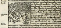Picture 22 of 57 from Gemeiner loblicher Eydgnoschafft Stetten, Landen vnd Völckeren Chronick wirdiger Thaaten Beschreybung : hieriñ wirt auch die Gelegenheit der gantzen Europe : item ein kurtzuer griffne Chronica Germanie oder Teütschlands : in sonders aber ein fleyssige histori vnd ordenliche Beschreybung Gallie oder Franckrychs fürgestellt : darauff deñ obgedachte der Eydgnoschafft Beschreybung volget ... (1548), leaf 258