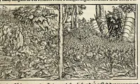 Picture 25 of 57 from Gemeiner loblicher Eydgnoschafft Stetten, Landen vnd Völckeren Chronick wirdiger Thaaten Beschreybung : hieriñ wirt auch die Gelegenheit der gantzen Europe : item ein kurtzuer griffne Chronica Germanie oder Teütschlands : in sonders aber ein fleyssige histori vnd ordenliche Beschreybung Gallie oder Franckrychs fürgestellt : darauff deñ obgedachte der Eydgnoschafft Beschreybung volget ... (1548), leaf 271