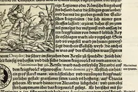 Picture 33 of 57 from Gemeiner loblicher Eydgnoschafft Stetten, Landen vnd Völckeren Chronick wirdiger Thaaten Beschreybung : hieriñ wirt auch die Gelegenheit der gantzen Europe : item ein kurtzuer griffne Chronica Germanie oder Teütschlands : in sonders aber ein fleyssige histori vnd ordenliche Beschreybung Gallie oder Franckrychs fürgestellt : darauff deñ obgedachte der Eydgnoschafft Beschreybung volget ... (1548), leaf 319