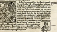 Picture 34 of 57 from Gemeiner loblicher Eydgnoschafft Stetten, Landen vnd Völckeren Chronick wirdiger Thaaten Beschreybung : hieriñ wirt auch die Gelegenheit der gantzen Europe : item ein kurtzuer griffne Chronica Germanie oder Teütschlands : in sonders aber ein fleyssige histori vnd ordenliche Beschreybung Gallie oder Franckrychs fürgestellt : darauff deñ obgedachte der Eydgnoschafft Beschreybung volget ... (1548), leaf 319