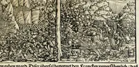 Picture 36 of 57 from Gemeiner loblicher Eydgnoschafft Stetten, Landen vnd Völckeren Chronick wirdiger Thaaten Beschreybung : hieriñ wirt auch die Gelegenheit der gantzen Europe : item ein kurtzuer griffne Chronica Germanie oder Teütschlands : in sonders aber ein fleyssige histori vnd ordenliche Beschreybung Gallie oder Franckrychs fürgestellt : darauff deñ obgedachte der Eydgnoschafft Beschreybung volget ... (1548), leaf 339