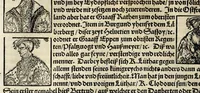 An illustration from Gemeiner loblicher Eydgnoschafft Stetten, Landen vnd Völckeren Chronick wirdiger Thaaten Beschreybung : hieriñ wirt auch die Gelegenheit der gantzen Europe : item ein kurtzuer griffne Chronica Germanie oder Teütschlands : in sonders aber ein fleyssige histori vnd ordenliche Beschreybung Gallie oder Franckrychs fürgestellt : darauff deñ obgedachte der Eydgnoschafft Beschreybung volget ... (1548)