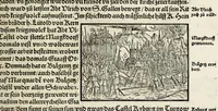 Picture 19 of 76 from Gemeiner loblicher Eydgnoschafft Stetten, Landen vnd Völckeren Chronick wirdiger Thaaten Beschreybung : hieriñ wirt auch die Gelegenheit der gantzen Europe : item ein kurtzuer griffne Chronica Germanie oder Teütschlands : in sonders aber ein fleyssige histori vnd ordenliche Beschreybung Gallie oder Franckrychs fürgestellt : darauff deñ obgedachte der Eydgnoschafft Beschreybung volget ... (1548), leaf 127