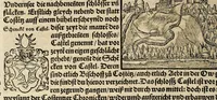 Picture 36 of 76 from Gemeiner loblicher Eydgnoschafft Stetten, Landen vnd Völckeren Chronick wirdiger Thaaten Beschreybung : hieriñ wirt auch die Gelegenheit der gantzen Europe : item ein kurtzuer griffne Chronica Germanie oder Teütschlands : in sonders aber ein fleyssige histori vnd ordenliche Beschreybung Gallie oder Franckrychs fürgestellt : darauff deñ obgedachte der Eydgnoschafft Beschreybung volget ... (1548), leaf 316