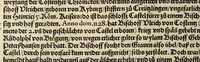 An illustration from Gemeiner loblicher Eydgnoschafft Stetten, Landen vnd Völckeren Chronick wirdiger Thaaten Beschreybung : hieriñ wirt auch die Gelegenheit der gantzen Europe : item ein kurtzuer griffne Chronica Germanie oder Teütschlands : in sonders aber ein fleyssige histori vnd ordenliche Beschreybung Gallie oder Franckrychs fürgestellt : darauff deñ obgedachte der Eydgnoschafft Beschreybung volget ... (1548)