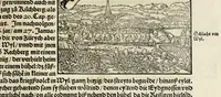 Picture 43 of 76 from Gemeiner loblicher Eydgnoschafft Stetten, Landen vnd Völckeren Chronick wirdiger Thaaten Beschreybung : hieriñ wirt auch die Gelegenheit der gantzen Europe : item ein kurtzuer griffne Chronica Germanie oder Teütschlands : in sonders aber ein fleyssige histori vnd ordenliche Beschreybung Gallie oder Franckrychs fürgestellt : darauff deñ obgedachte der Eydgnoschafft Beschreybung volget ... (1548), leaf 349