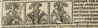 Picture 3 of 76 from Gemeiner loblicher Eydgnoschafft Stetten, Landen vnd Völckeren Chronick wirdiger Thaaten Beschreybung : hieriñ wirt auch die Gelegenheit der gantzen Europe : item ein kurtzuer griffne Chronica Germanie oder Teütschlands : in sonders aber ein fleyssige histori vnd ordenliche Beschreybung Gallie oder Franckrychs fürgestellt : darauff deñ obgedachte der Eydgnoschafft Beschreybung volget ... (1548), leaf 36