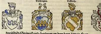 An illustration from Gemeiner loblicher Eydgnoschafft Stetten, Landen vnd Völckeren Chronick wirdiger Thaaten Beschreybung : hieriñ wirt auch die Gelegenheit der gantzen Europe : item ein kurtzuer griffne Chronica Germanie oder Teütschlands : in sonders aber ein fleyssige histori vnd ordenliche Beschreybung Gallie oder Franckrychs fürgestellt : darauff deñ obgedachte der Eydgnoschafft Beschreybung volget ... (1548)