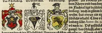 An illustration from Gemeiner loblicher Eydgnoschafft Stetten, Landen vnd Völckeren Chronick wirdiger Thaaten Beschreybung : hieriñ wirt auch die Gelegenheit der gantzen Europe : item ein kurtzuer griffne Chronica Germanie oder Teütschlands : in sonders aber ein fleyssige histori vnd ordenliche Beschreybung Gallie oder Franckrychs fürgestellt : darauff deñ obgedachte der Eydgnoschafft Beschreybung volget ... (1548)