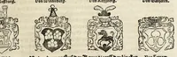Picture 50 of 76 from Gemeiner loblicher Eydgnoschafft Stetten, Landen vnd Völckeren Chronick wirdiger Thaaten Beschreybung : hieriñ wirt auch die Gelegenheit der gantzen Europe : item ein kurtzuer griffne Chronica Germanie oder Teütschlands : in sonders aber ein fleyssige histori vnd ordenliche Beschreybung Gallie oder Franckrychs fürgestellt : darauff deñ obgedachte der Eydgnoschafft Beschreybung volget ... (1548), leaf 385