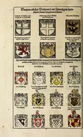 An illustration from Gemeiner loblicher Eydgnoschafft Stetten, Landen vnd Völckeren Chronick wirdiger Thaaten Beschreybung : hieriñ wirt auch die Gelegenheit der gantzen Europe : item ein kurtzuer griffne Chronica Germanie oder Teütschlands : in sonders aber ein fleyssige histori vnd ordenliche Beschreybung Gallie oder Franckrychs fürgestellt : darauff deñ obgedachte der Eydgnoschafft Beschreybung volget ... (1548)