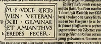 An illustration from Gemeiner loblicher Eydgnoschafft Stetten, Landen vnd Völckeren Chronick wirdiger Thaaten Beschreybung : hieriñ wirt auch die Gelegenheit der gantzen Europe : item ein kurtzuer griffne Chronica Germanie oder Teütschlands : in sonders aber ein fleyssige histori vnd ordenliche Beschreybung Gallie oder Franckrychs fürgestellt : darauff deñ obgedachte der Eydgnoschafft Beschreybung volget ... (1548)