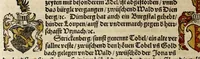 An illustration from Gemeiner loblicher Eydgnoschafft Stetten, Landen vnd Völckeren Chronick wirdiger Thaaten Beschreybung : hieriñ wirt auch die Gelegenheit der gantzen Europe : item ein kurtzuer griffne Chronica Germanie oder Teütschlands : in sonders aber ein fleyssige histori vnd ordenliche Beschreybung Gallie oder Franckrychs fürgestellt : darauff deñ obgedachte der Eydgnoschafft Beschreybung volget ... (1548)